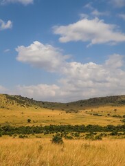 Kenya safari landscape with golden savanna and hills © Michael