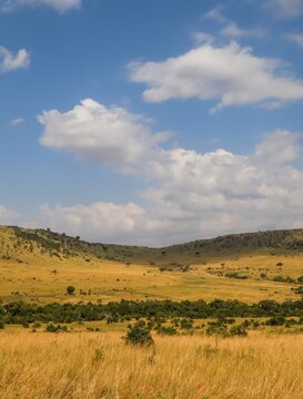 Kenya safari landscape with golden savanna and hills