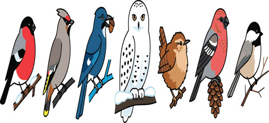 Winter Forest Birds Icon Set Featuring Bullfinch, Waxwing, Blue Jay, Snowy Owl, Wren, Crossbill, and Chickadee Vector Illustrations for Seasonal Wildlife Graphic Designs © Forida