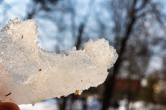 Melting chunk of slushy ice held up close, sparkling in the bright sunlight against a blurred background of winter trees