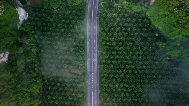 Aerial view of a scenic road through limestone karst mountains and morning mist in Krabi, Thailand