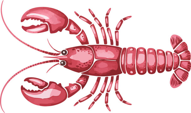 Vibrant pink lobster shown from a side view with detailed segments and prominent claws