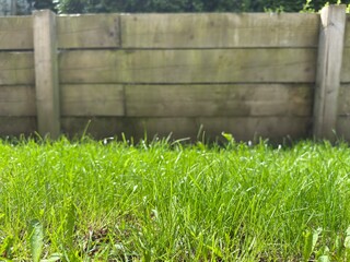 Fototapeta premium Beautiful backyard landscaping: Manicured green lawn bordered by a timber retaining wall