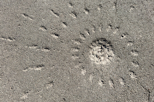 Artillery shell impact crater on damaged rough road background