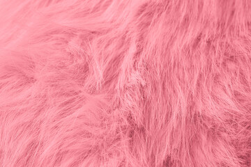 Fototapeta premium Detailed close up of soft fluffy light brown fabric texture creating a gentle abstract pattern