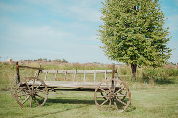 Naklejka premium Old wooden cart with large wheels in green field under blue sky