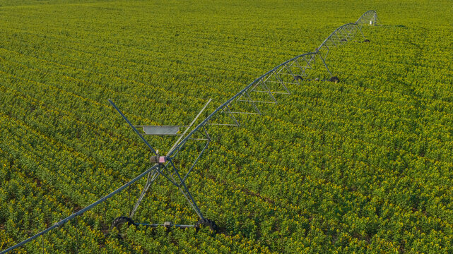 Aerial view of a center pivot irrigation system in a green agricultural field, showcasing precision farming and water management in Saulce-sur-Rhone, Auvergne-Rhone-Alpes, France.