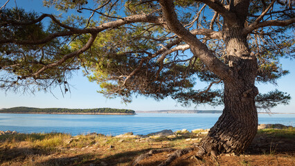 Fototapeta premium Bay of Banjol on island of Rab