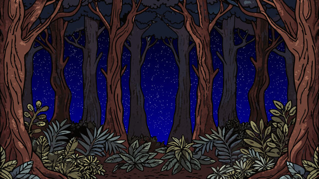 Vector, night, stars, jungle, park, summer, grass, sky, walk, nature, green, game, cloud, vector graphics, forest, trees, clouds, bushes, joy, relaxation, banner, poster, panorama, mountains, lakes