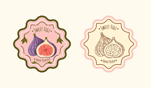 Hand-Drawn Fig Labels with color and Line Art Design. Products Branding for packaging. Vector.