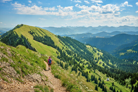 Active senior woman hiking along the scenic ridge of the Nagelfluh mountain range in the Allgaeu Alps with panoramic alpine views on a sunny summer day. Oberstaufen-Steibis, Allgaeu, Bavaria, Germany