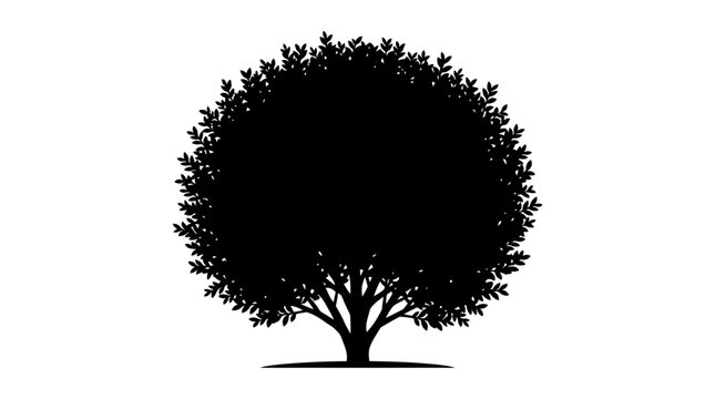 Deciduous tree silhouette with a broad, rounded canopy of dense foliage and a visible trunk with roots is centered against a clean white background.