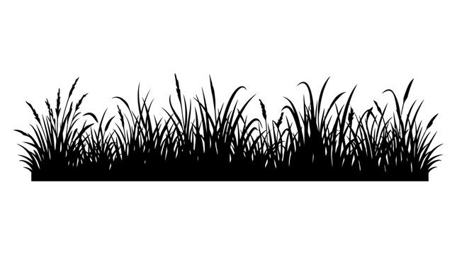 Grass silhouette shows a dark, two-dimensional outline of various blades of grass and reeds, forming a horizontal border on a white background.