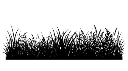 Grass silhouette depicts various natural plant shapes and textures in a striking black and white graphic design element isolated on a clean white background. © MdAbdul