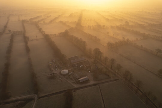 Aerial view of a farmstead surrounded by misty fields and rows of trees during a golden sunrise in Friesland, Netherlands.