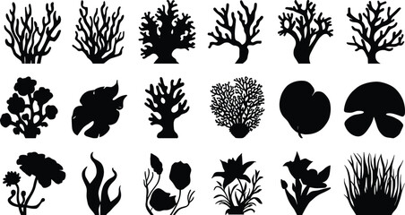 Set of coral reef underwater seaweeds ocean plants marine life vector silhouettes isolated on white background © Shariful