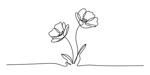 Two poppy flowers in a continuous single line drawing style © GOBINDO