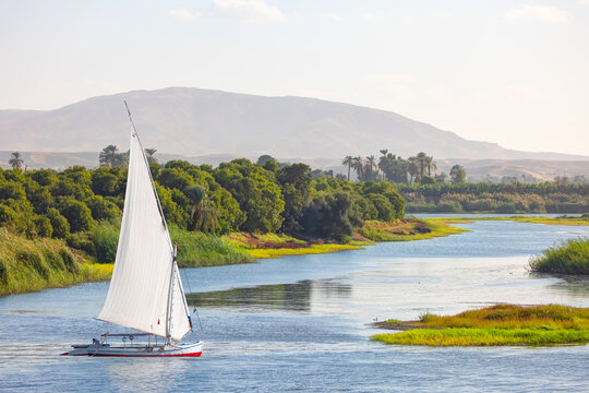 White traditional Felluca sailing boat on River Nile, Aswan, Egypt