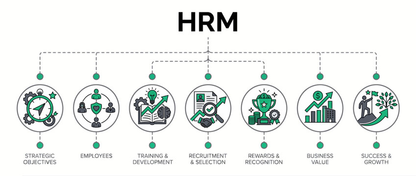 HRM infographic template, human resource management diagram, corporate business vector