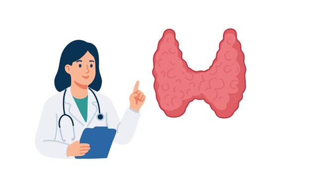 animation doctor explaining thyroid gland anatomy