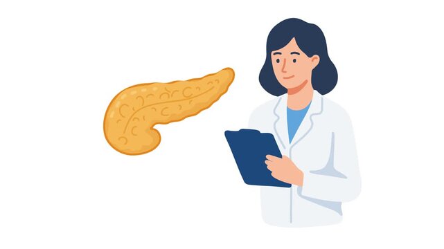 animation doctor reviewing pancreas anatomy