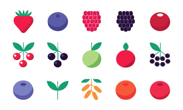 Nutritious Berry Fruit Collection.