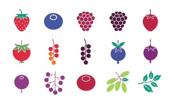 Wild Berry Fruit Collection.