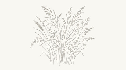Fototapeta premium Delicate Pampas Grass illustration, elegant minimal botanical line art, neutral tones