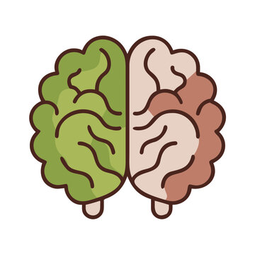 Human brain anatomy icon showing left and right creative hemispheres.