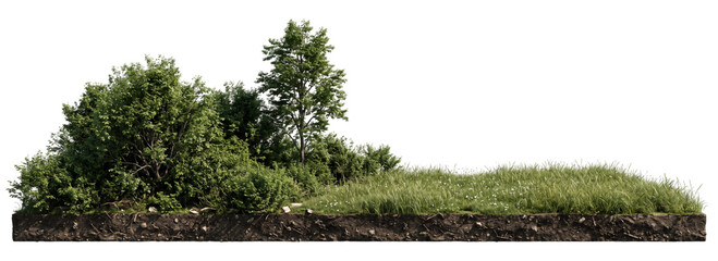 Obraz premium Grassy terrain with lush green foliage and exposed soil presented on transparent background