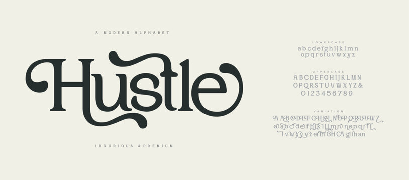 Elegant Font Uppercase Lowercase and Number. Classic Lettering Minimal Fashion Designs. Typography modern serif fonts regular decorative vintage concept. vector illustration