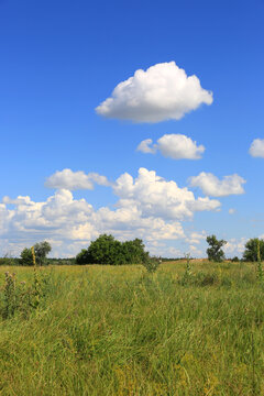 Vast green meadow under a bright blue sky with fluffy white clouds