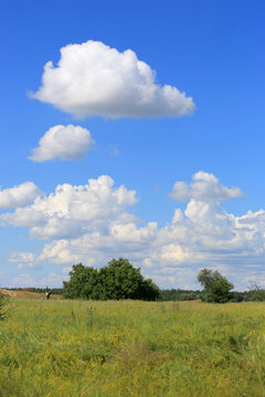 Vast green meadow under a bright blue sky with fluffy white clouds