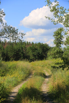 Scenic countryside path surrounded by trees under blue skies