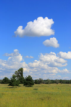 Vast blue sky with fluffy white clouds over a green meadow and scattered trees