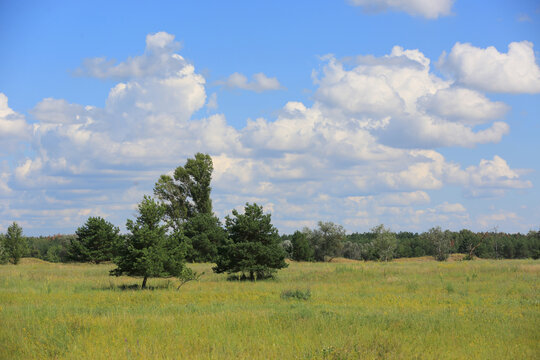 Vast green meadow under a bright blue sky with fluffy white clouds