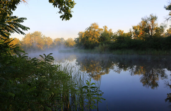 Misty river at sunrise with trees reflecting in the calm water