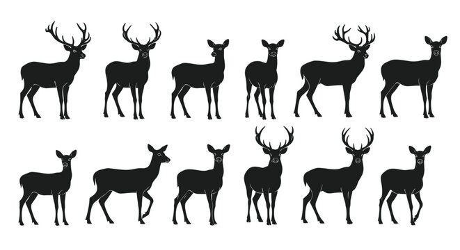 Silhouettes of Elegant Deer with Antlers in a Row.