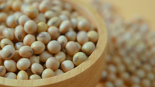 Dried Soybeans in Wooden Bowl