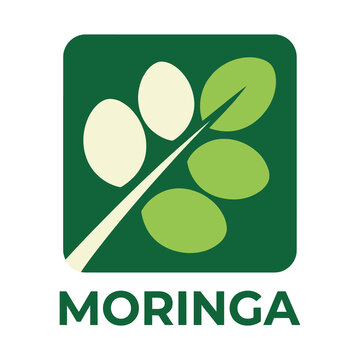 Moringa leaf logo with green and beige colors on white background icon