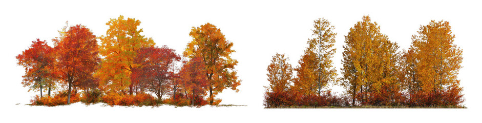 Obraz premium PNG Autumn trees isolated, transparent background