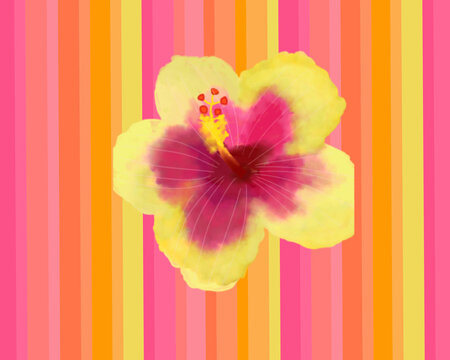 Abstract line with mixed color pink, yellow and orange illustration textured with summer lettering and flowers for wallpaper background. cute hand draw for printable or wrapping