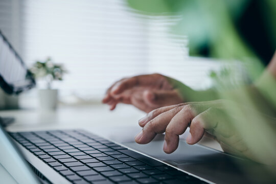 Business professional working on laptop, modern workspace with natural green foreground, remote work productivity, digital business communication, online collaboration, focused workflow, flexible work