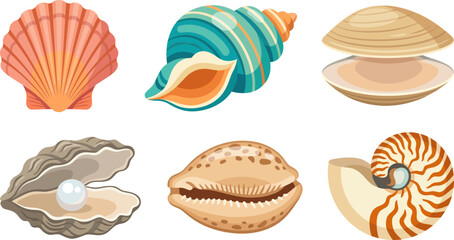 Diverse collection of vibrant seashell species including scallop and pearl oyster isolated for marine life design and coastal summer branding projects © Firdaus