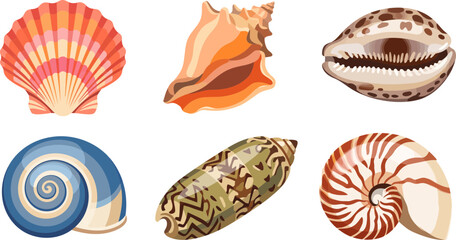 Set of six colorful seashells in diverse shapes and patterns designed for marine themed graphic design and coastal home decor projects © Firdaus