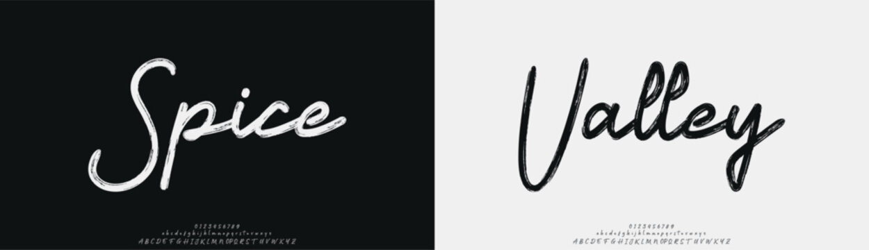 Spice Valley, Script Uppercase Lowercase And Number. Calligraphy Logotype Brush Font Type Font lettering handwritten	
