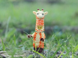 Fototapeta premium Indonesia - May 7, 2025 : Mini toy of action figure at outdoor with blurred background. Toy photography concept design. Minifigure of giraffe character at grassland.