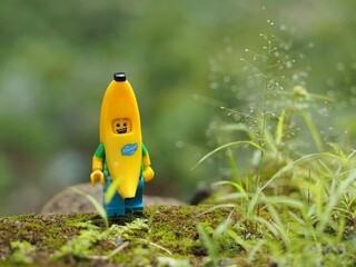 Naklejka premium Indonesia - February 14, 2023 : Mini toy figure of banana character at outdoor with blurred background. Toy photography concept design.