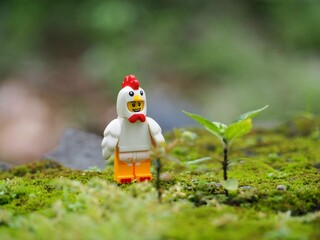 Fototapeta premium Indonesia - November 27, 2019 : Mini toy of action figure at grassland with blurred background. Toy photography concept. Chicken at outdoor with green grass conceptual design.