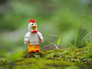 Naklejka premium Indonesia - November 27, 2019 : Mini toy of action figure at grassland with blurred background. Toy photography concept. Chicken at outdoor with green grass conceptual design.